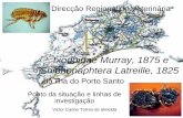 Ixodoidae Murray, 1875 e Shiphonaphtera Latreille, 1825 · • Imunodeprimidos • São particularmente perigosas as ninfas ... • Maneio dos hospedeiros – Indexáveis á cobertura