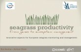 Innovative aspects for European seagrass monitoring and ... · regions. Hidrobiologia. DOI 10.1007/s10750-012-1403-7 51 metrics in 42 monitoring programs Too many, considering the