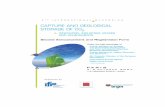 INTERNATIONAL SYMPOSIUM CAPTURE AND GEOLOGICAL ... · greenhouse gas emissions. In order to reconcile the use of these resources with the need to control the emissions responsible