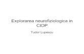 Explorarea neurofiziologica in CIDP - ASNER · Multifocal Motor Neuropathy (MMN) Multifocal Motor Neuropathy (MMN) is a pure motor disorder in which there is a multifocal attack on