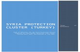 Syria Protection Cluster (Turkey)  · Web viewThe Child Protection Sub-Cluster is currently led by UNICEF and Co-Led by World ... Protection dashboard. ... arising in the context