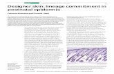 Review TRENDS in Cell Biology Vol.12 No.4 April 2002 ...staff.washington.edu/andchien/PDFs/stemcells-niemann.pdf · TRENDS in Cell Biology Vol.12 No.4 April 2002 ... Catherin Niemann