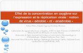 Effet de la concentration en oxygène sur l’expression et ...congres.eska.fr/pdf/Microbio 2014 Pillet S..pdf · Papillomavirus (HPV) ... Induit l’expression de VEGF via l’activation