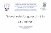0905-0925 - G Amarante-Mendes -UofT-USP Oncology ... · "Novel’role’for’galec-n/1’in’ CTLkilling"’ Gustavo’P.’Amarante/Mendes’ UofT/USPOncologyConference’ November2013’