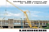 Liebherr lift cranes up to 300 t capacity. - Alfis3).pdf · For crane ﬂ eets it is a considerable advantage if the same boom system can be used for various crane types. Liebherr