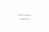 Gene Function - California State University, Northridgecmalone/pdf360/Ch12-1 one gene.pdf · Gene Function Chapter 12. The Central Dogma of Biology transcription translation GATC