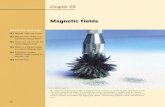 Chapter 29 Magnetic Fields - WordPress.com · Chapter 29 Magnetic Fields C HAP TE R O U TLIN E 29.1 Magnetic Fields and Forces 29.2 Magnetic Force Acting on a Current-Carrying Conductor