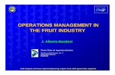 OPERATIONS MANAGEMENT IN THE FRUIT INDUSTRYcepac.cheme.cmu.edu/pasilectures/bandoni/PASI 2005 - Presentation.pdf · Frutas & Jugos ARG Co.: Case Study ... supply chain, and concentrate