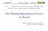 The Mining Regulatory Process in Brazilinvestimentos.mdic.gov.br/public/arquivo/arq1274359542.pdf · The Mining Regulatory Process in Brazil Miguel Antonio Cedraz Nery, DSc Director-General