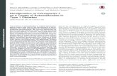 Identification of Tetraspanin-7 as a Target of ... - Diabetesdiabetes.diabetesjournals.org/content/diabetes/65/6/1690.full.pdf · 3Diabetes Research Institute, Istituto di Ricovero