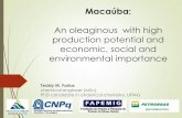 An oleaginous with high production potential and economic ...aocs.files.cms-plus.com/LACongress/Presentations/Farias.pdf · An oleaginous with high production potential and economic,