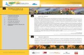 Newsletter N4 MEFISTO PT - mefistoforestfires.eu · formação para o Oficial Europeu de Incêndio Florestal (EUFO) realizado em maio de 2018, em Valabre (França). No relatório