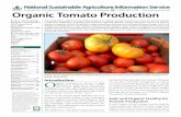 A project of the National Center for Appropriate ...redagroecologia.uy/wp-content/uploads/2014/07/tomato.pdf · The National Sustainable . Agriculture Information Service, ATTRA (),