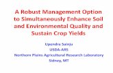 A Robust Management Option to Simultaneously Enhance Soil ... · A Robust Management Option to Simultaneously Enhance Soil and Environmental Quality and Sustain Crop Yields Upendra