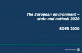 The European environment state and outlook 2020 · SOER 2015 Synthesis report SOER 2015 Assessment of global megatrends 11 briefings Global megatrends 25 briefings European briefings