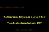 “La Depurazione Extrarenale in Area Critica” - oeige.it · Tecniche di anticoagulazione in CRRT G. Ghigliotti – Terapia Intensiva – OEI Genova “La Depurazione Extrarenale