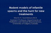 Rodent models of infantile spasms and the hunt for new ... - … · Rodent models of infantile spasms and the hunt for new treatments Morris H. Scantlebury M.D. Assistant Professor,