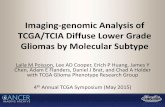 Imaging-genomic Analysis of TCGA/TCIA Diffuse Lower Grade Gliomas by Molecular Subtype · 2015-06-12 · Imaging-genomic Analysis of TCGA/TCIA Diffuse Lower Grade Gliomas by Molecular