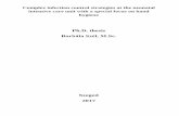 Ph.D. thesis - doktori.bibl.u-szeged.hudoktori.bibl.u-szeged.hu/4126/3/PhD_thesis_Szél_Bori_20171004_.pdf · List of full papers that served as the basis of the Ph.D. thesis I. Nagy