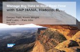 Manage Big Data in Real Real-Time with SAP HANA, Hadoop, R, · Manage Big Data in Real Real-Time with SAP HANA, ... if such damages were caused by SAP´s willful misconduct or gross