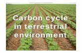 Carbon cycle in terrestrial environment - Ciradopen-library.cirad.fr/...Carbon_cycle_in_terrestrial_environment... · Carbon cycle in terrestrial environment Document extocument obtenu