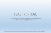 FLAC- PEPFLAC - University of North Carolina Wilmington FLAC/Banner PEPFLAC.pdf · FLAC- PEPFLAC A guide for the extraction of assignments from SIAASGN to Self-Service Banner (SSB)