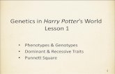 Genetics in Harry Potter's World - nlm.nih.gov · in Harry Potter "All the Weasleys have red hair, freckles, and more children than they can afford." -- Draco Malfoy (Sorcerers Stone,