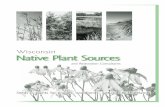 Wisconsin Native Plant Sources - sawyer.extension.wisc.edu · SHORELANDS A natural shoreline is a bridge between two worlds. Studies show that there can be as much as 500 percent