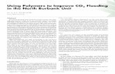 Using Polymers to Improve CO2 Flooding in the North ... · Using Polymers to Improve CO 2 Flooding in the North Burbank Unit W. Li, D.S. Schechter texas A&M University Abstract The