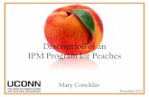 Description of an IPM Program for Peaches of an IPM Program... · Cu Fe . Weed Management •Compete for water & nutrients •Broadleaf weeds -> plant bugs, ... also called Valsa,