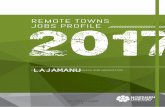 Lajamanu remote towns jobs profile - nt.gov.au  · Web viewThe 2017 jobs profile was developed based on responses from 19 businesses operating within the Lajamanu town boundary,