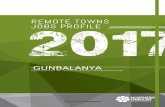 Gunbalanya remote towns jobs profile - nt.gov.au  · Web viewThe data in this publication were predominantly collected by conducting a face-to-face survey of businesses within town
