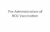 The Administration of BCG Vaccination - Ireland's Health ... · The Administration of BCG Vaccination . The Vaccine • Danish Vaccine –SSI ... powder in the multi dose vial as