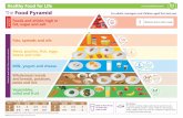 The Food Pyramid - Healthy Ireland · Foods and drinks high in fat, sugar and salt Fats, spreads and oils Meat, poultry, fish, eggs, beans and nuts Milk, yogurt and cheese Wholemeal