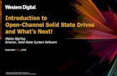 Introduction to Open-Channel Solid State Drives to Open-Channel Solid State Drives and What’s Next! Matias Bjørling Director, Solid-State System Software September 25rd, 2018 Storage