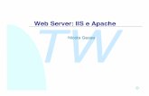 Web Server: IIS e Apache TW - cs.unibo.itfabio/corsi/tw02/slides/11b-WebServer/WebServer.pdf · uMicrosoft Data Acces Component Sistema Operativo Internet Information Service ISAPI