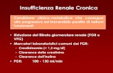 Insufficienza renale acutainfermieristica.polodidatticopanico.com/wp-content/uploads/sites/2/... · •Cataboliti azotati (urea, creatinina) –eliminazione per filtrazione glomerulare