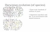 Time-scale: hundreds of millions of years • Organisms ...users.unimi.it/minucci/PatologiaLezioni_2018-19/1819-Tumor cell... · Geni associati alla trasformazione neoplastica •