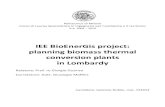 IEE BioEnerGis project: planning biomass thermal ... · Corso di Laurea Specialistica in Ingegneria ... 2010 IEE BioEnerGis project: planning biomass thermal conversion plants in