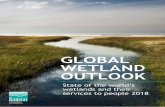 GLOBAL WETLAND cover pic to show natural wetland with ... · Wetlands, such as lakes, rivers, swamps, marshes, peatlands, mangroves and coral reefs provide essential ecosystem services