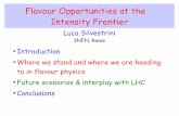 Flavour Opportunities at the Intensity Frontier · Flavour Opportunities at the Intensity Frontier Luca Silvestrini INFN, Rome ... Cabibbo-like mixings. SuperB CDR.