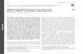 Read Full Text PDF - Diabetesdiabetes.diabetesjournals.org/content/diabetes/64/5/1670.full.pdf · from Origene (TrueORF Gold RC202635; BioNordika Sweden) using Lipofectamine 2000