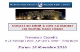 A.O “Card. G. Panico” – Tricase(Lecce) - Proeventi.it · Gestione del deficit di ferro nel paziente con malattia renale cronica. Parma 18 Novembre 2016. Francesco Caccetta.