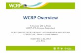 02 WCRP Boscolo CORDEX LAC - CIMA · WCRP Overview R. Boscolo and M.and M. Rixen WCRP JPS, Geneva, Switzerland WCRP VAMOS/CORDEX Workshop on LatinWCRP VAMOS/CORDEX Workshop on Latin-America