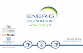 COGENERAZIONE* - energiamedia.it · cogenerazione a gas metano e 400 impianti a biogas installati e in esercizio full-service 40 Aziende nel Gruppo ENER-G ... Impianto di Trigenerazione