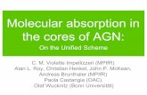 Molecular absorption in the cores of AGN - IRA Home · Molecular absorption in the cores of AGN: On the Unified Scheme C. M. Violette Impellizzeri (MPIfR) Alan L. Roy, Christian Henkel,