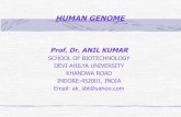 HUMAN GENOME - School of Biotechnology, Devi Ahilya ... · • The human genome is the genome of Homo sapiens, which is composed of 23 distinct pairs of chromosomes (22 autosomal+X+Y)