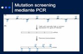 Mutation screening mediante PCR - webalice.it · Analisi al DHPLC . Amplification Refractory Mutation System (ARMS) Degenerate Oligonucleotide-primed PCR (DOP-PCR) Rapid amplification