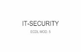 IT-SECURITY · IT-SECURITY ECDL MOD. 5. IT-SECURITY Sez. 1 - Concetto di sicurezza Sez. 2 - Malware Sez. 3 - Sicurezza in rete Sez. 4 - Uso sicuro del Web Sez. 5 - Comunicazioni Sez.
