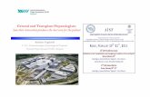 General and Transplant Hepatologists: how their ... · General and Transplant Hepatologists: how their interaction produces the best care for the patient Stefano Fagiuoli U.S.C. Gastroenterologia